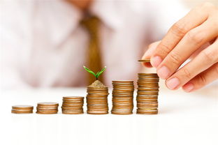 融資寒冬與獨角獸迷思 風險投資兩極分化如何重塑創業生態